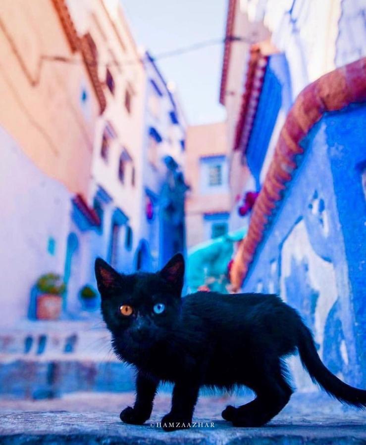 Mesk elil Hotel Chefchaouen Eksteriør billede